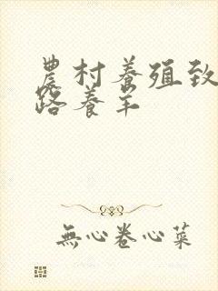 农村养殖致富门路养羊