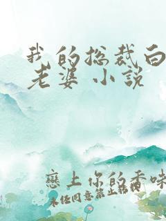 我的总裁白富美老婆 小说