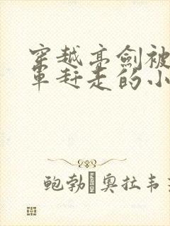 穿越亮剑被八路军赶走的小说