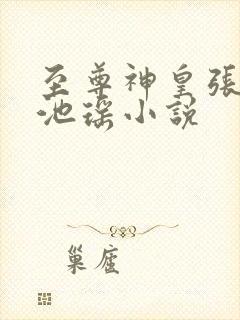 至尊神皇张若尘池瑶小说