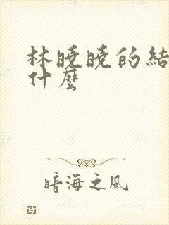 林晓晓的结局是什么