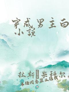 穿成男主白月光 小说