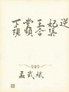 下堂王妃逆袭记视频合集