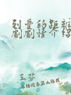 到爱的距离电视剧剧情介绍