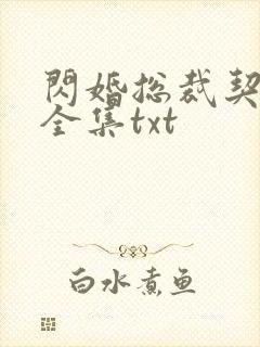 闪婚总裁契约妻全集txt