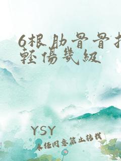 6根肋骨骨折算轻伤几级