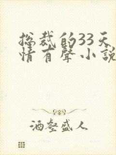 总裁的33天索情有声小说