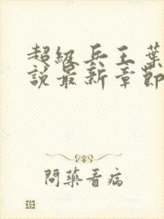 超级兵王叶谦小说最新章节