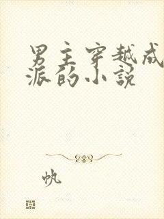 男主穿越成为反派的小说