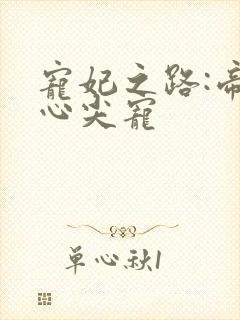 宠妃之路:帝王心尖宠