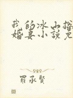 我的冰山总裁未婚妻小说免费阅读