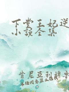 下堂王妃逆袭记小说全集