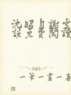 沈昭月谢云湛小说免费阅读最新章节