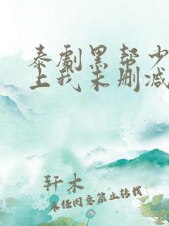 泰剧黑帮少爷爱上我未删减