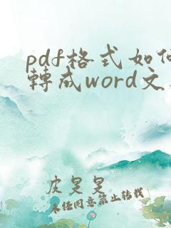 pdf格式如何转成word文档