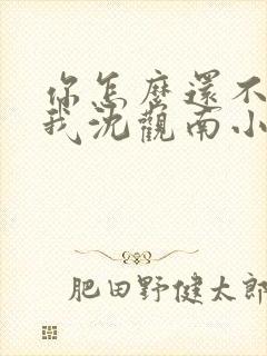 你怎么还不来哄我沈观南小说免费阅读