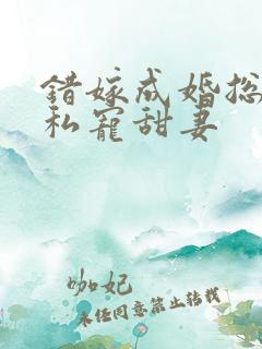 错嫁成婚总裁的私宠甜妻