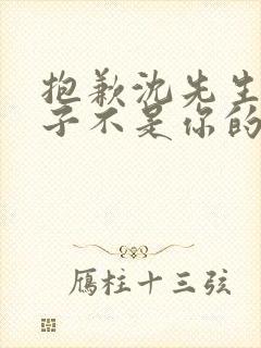 抱歉沈先生,孩子不是你的短剧全集大结局