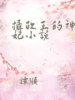 摄政王的神医毒妃小说