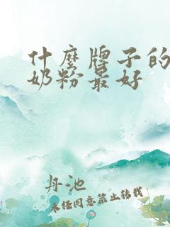 什么牌子的婴儿奶粉最好