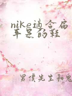 nike适合扁平足的鞋