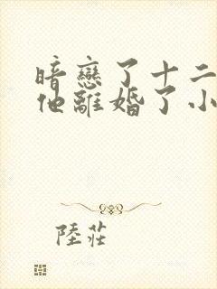 暗恋了十二年的他离婚了小说