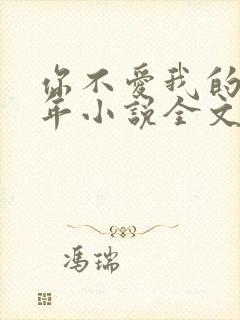 你不爱我的那些年小说全文阅读