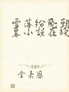 雪落纷飞朝朝暮暮小说在线阅读