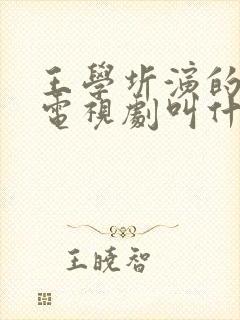 王学圻演的朱棣电视剧叫什么名字