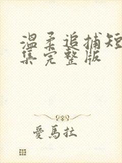 温柔追捕短剧全集完整版