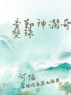 章节神澜奇域无双珠