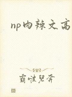 np肉辣文高h