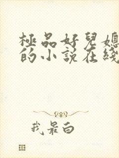 极品好儿媳秦雨的小说在线阅读