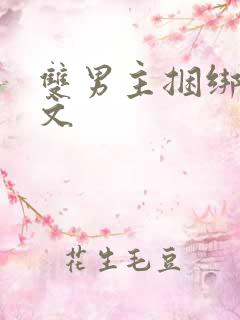 双男主捆绑调教文