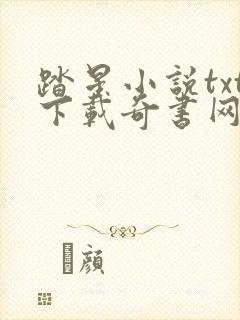 踏星小说txt下载奇书网