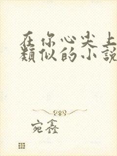 在你心尖上起舞类似的小说