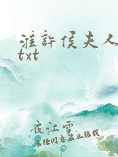 淮许侯夫人小说txt