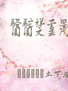 骆驼祥子思维导图图文并茂