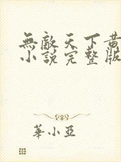 无敌天下黄小龙小说完整版免费阅读