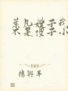 叶凡嫂子我真的不是傻子小说