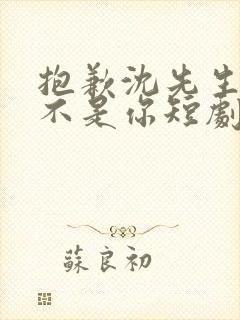 抱歉沈先生孩子不是你短剧