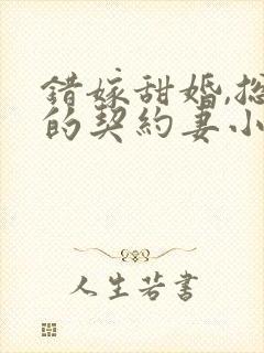 错嫁甜婚,总裁的契约妻小说