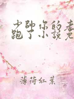 少帅你的老婆又跑了小说免费阅读