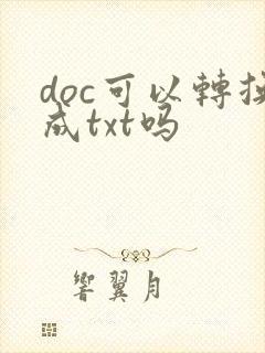 doc可以转换成txt吗