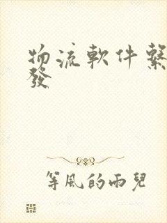 物流软件系统开发