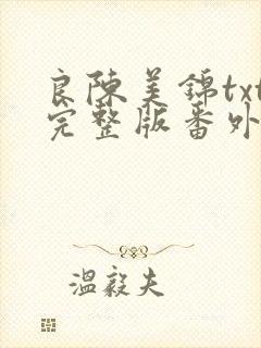 良陈美锦txt完整版番外