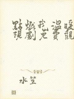 点燃我温暖你电视剧免费观看第一季