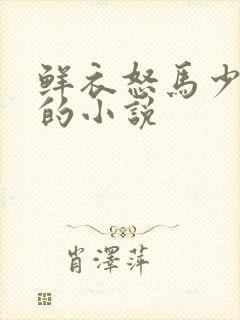 鲜衣怒马少年郎的小说