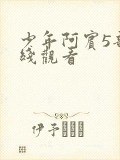 少年阿宾5部在线观看