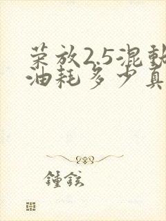 荣放2.5混动油耗多少真实油耗